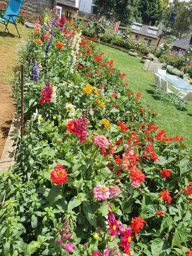 Lakeside Cottages Nuwara Eliya Exterior foto